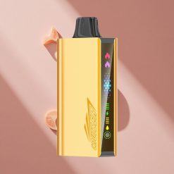 JNR Cruiser 12000 Puffs Без подзарядки 25ml жидкость Cool Fanta