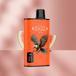 JNR EAGLE Smart 23000 Puffs Цифровой экран Арбузный лёд