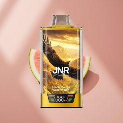 JNR Falcon Pro 28000 Персик Манго Арбуз с 28000 затяжками и USB Type-C