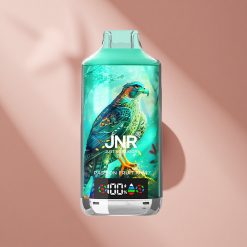 JNR Falcon X 18000 Puffs Маракуйя Киви, 750mAh, 24мл