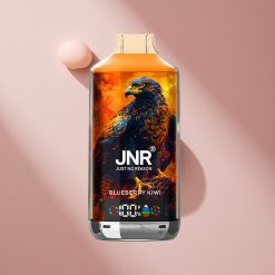 JNR Falcon X 18000 Puffs Черника Киви (750mAh, 24мл)