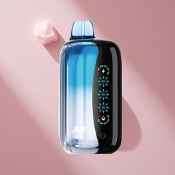 JNR Flex Ice 21000 Puffs Настраиваемый Лёд Черника Лёд