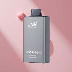 JNR Mega Box 25000 Puffs Blueberry Bubblegum (Черника Жвачка) с 30мл Жидкости и 850мАч Батареей