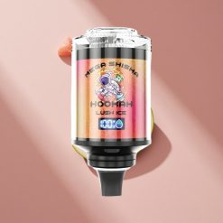 JNR Mega Shisha Hookah 100K Настольный (60мл, 2200mAh) Ледяная Свежесть